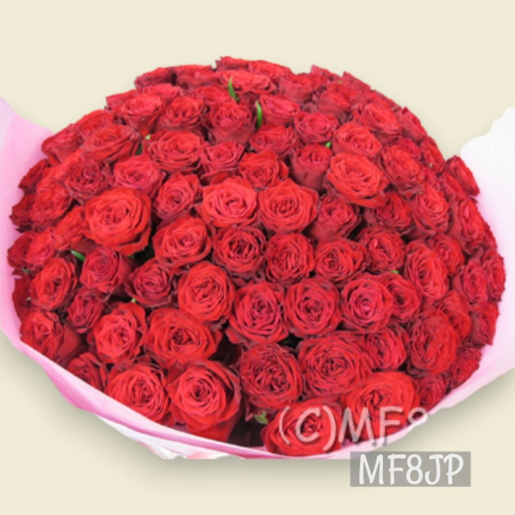 赤薔薇/100本/プロポーズ